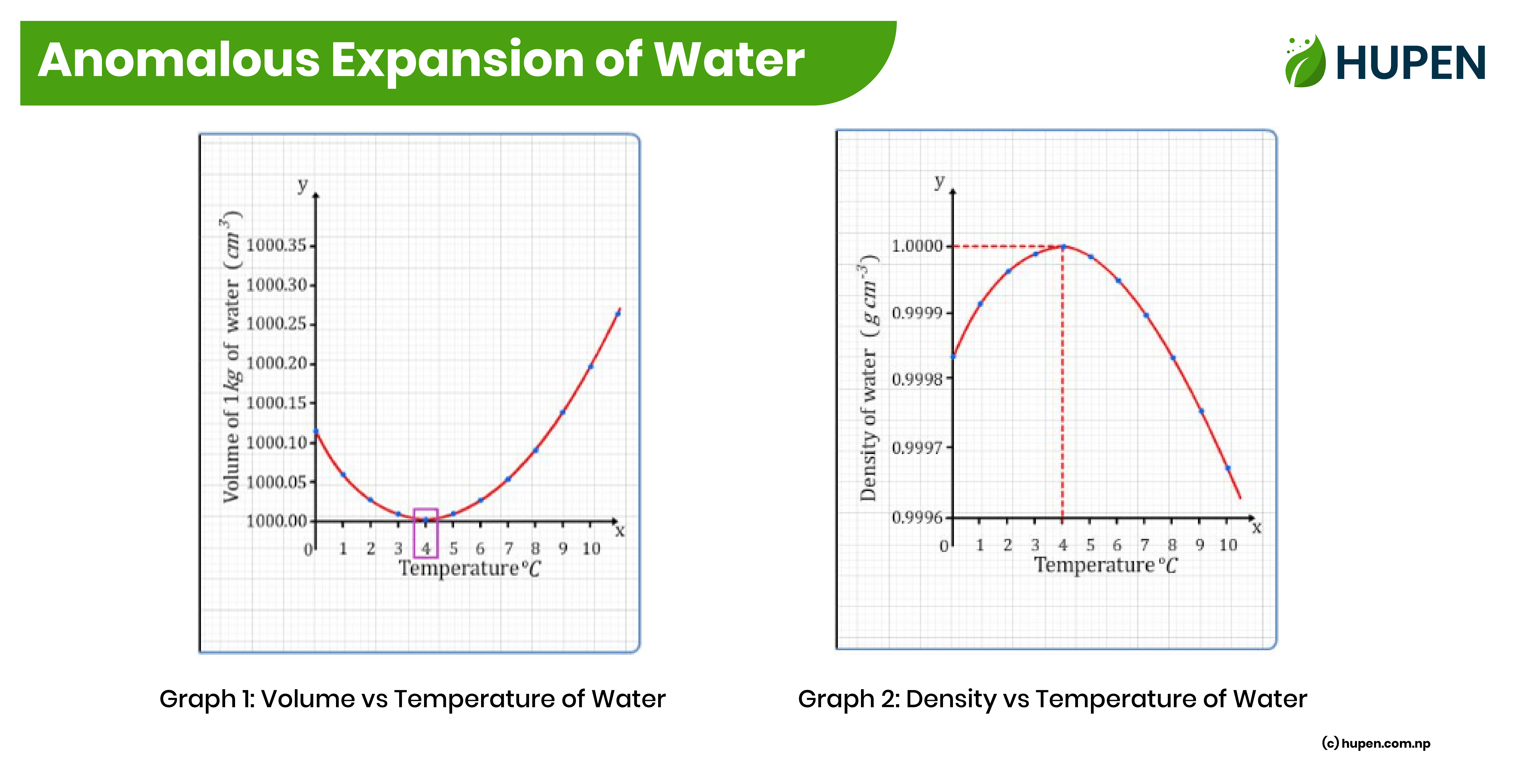 Anomalous Expansion of Water